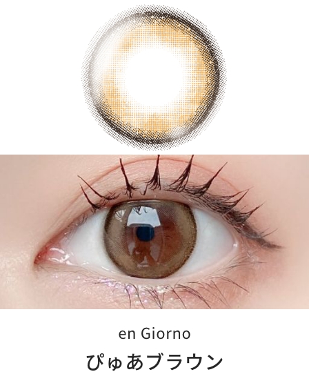 アンジョルノ マンスリー [ぴゅあブラウン] 1ヶ月 [2枚入] en Giorno 1Month EC86539