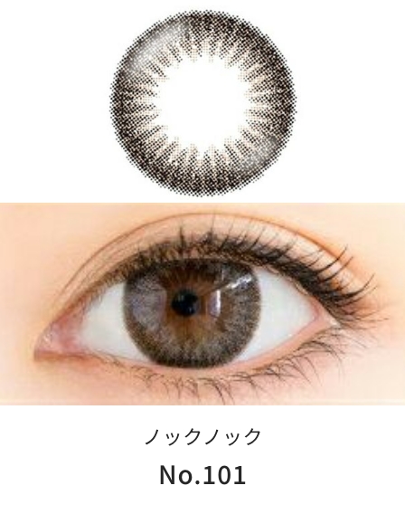 ノックノックワンデー No.101 [度あり・度なし][10枚入] KK48483