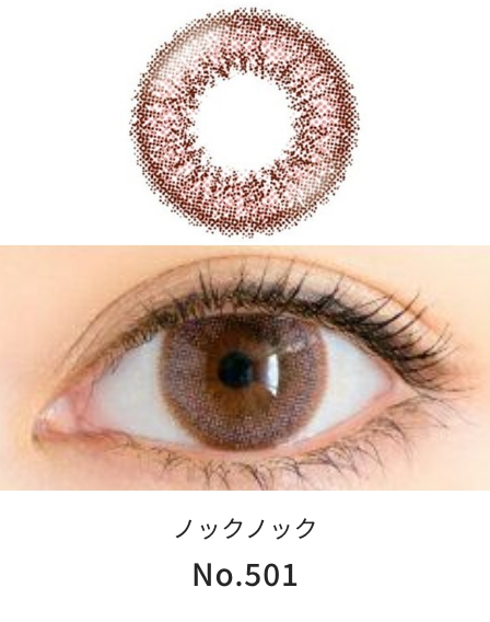 ノックノックワンデー No.501 [度あり・度なし][10枚入] KK48579