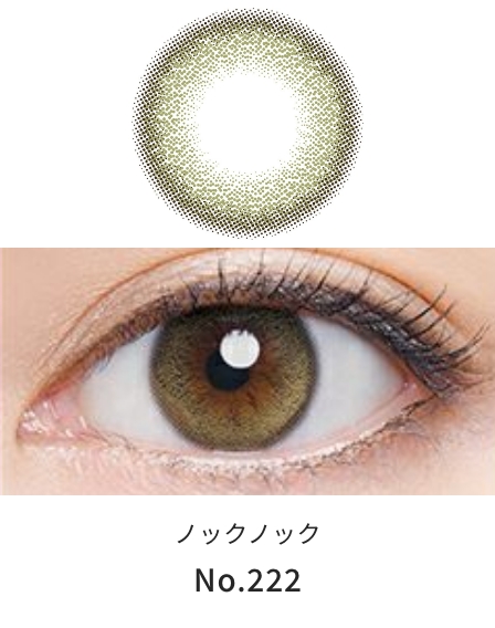 ノックノック 1ヶ月用 No.222 [度あり・度なし][2枚入] KK56842