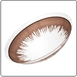 レンズイメージ