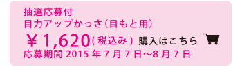 目ヂカラアップかっさ（目もと用） 購入はコチラから